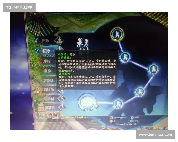 如何为武魂玄冰加点以最大化提升战力和技能效果分析 如何为武魂玄冰加点以最大化提升战力和技能效果分析
